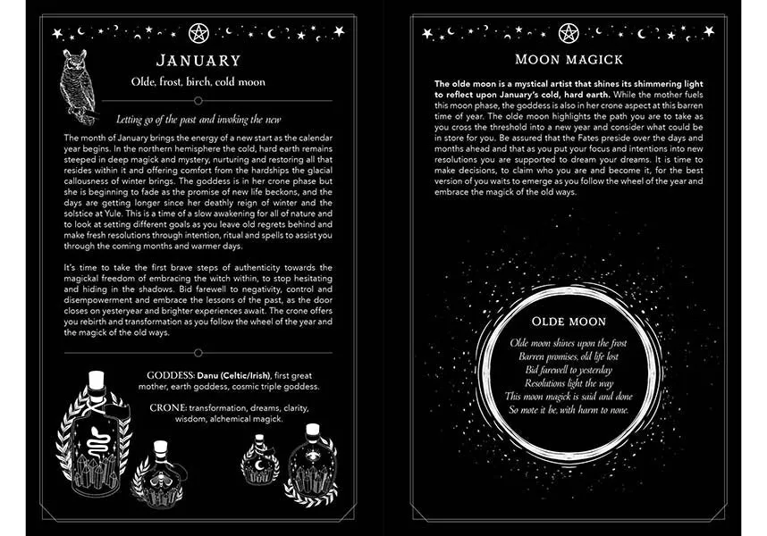 2024 Witch's Diary Southern Hemisphere | DIARY