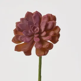 Brown Mauve Baby Aconitum Pick Soft PE Succulent Plant Spray - 7"
