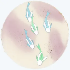 Circles - #45 - Kozyndan - "Schooling Bunnyfish (Pink)"