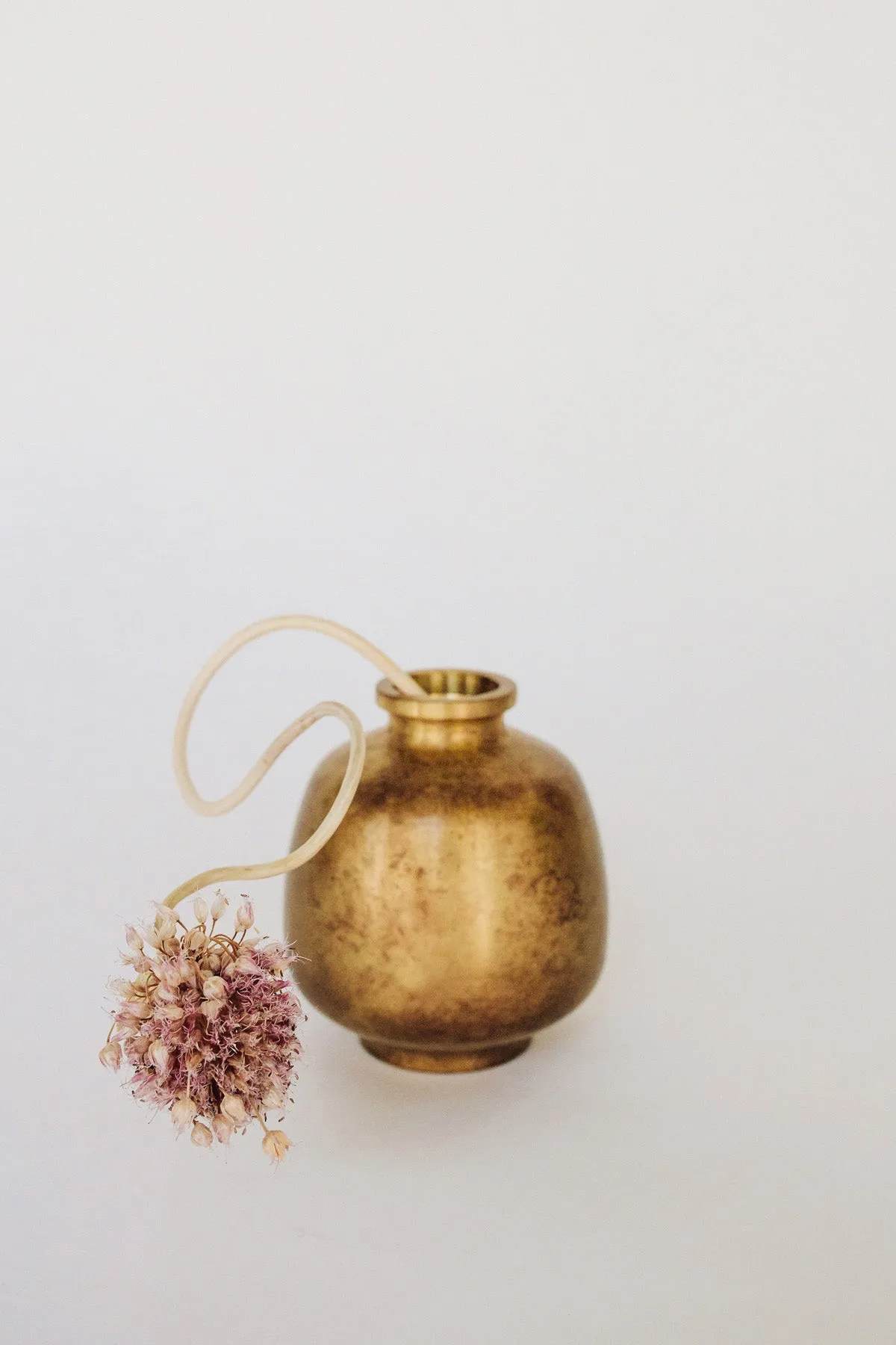 Hana Mitsubo - Golden Brown