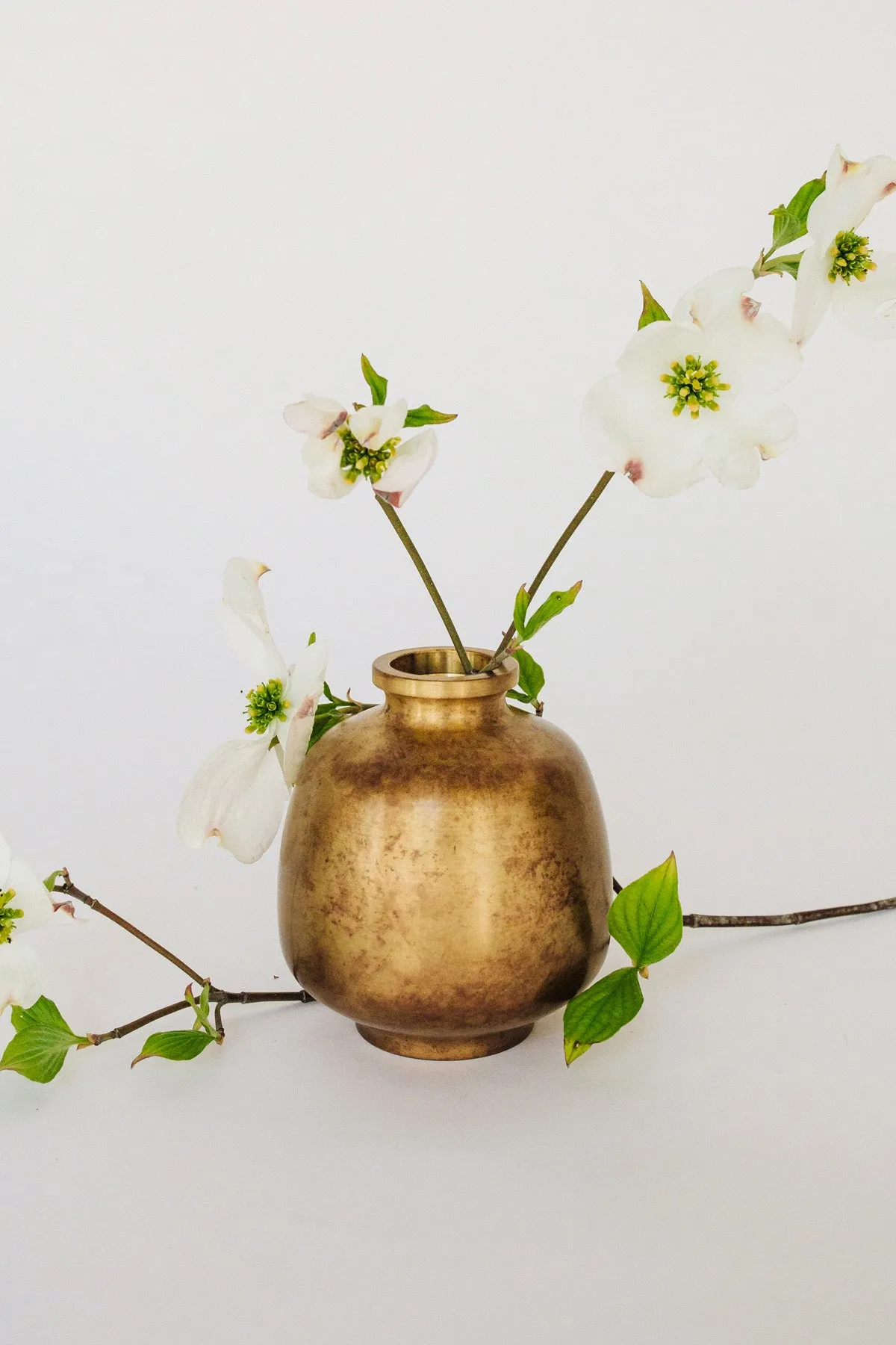 Hana Mitsubo - Golden Brown