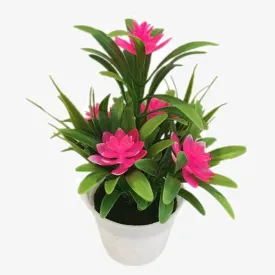 Plant Bonsai for Christmas New Year