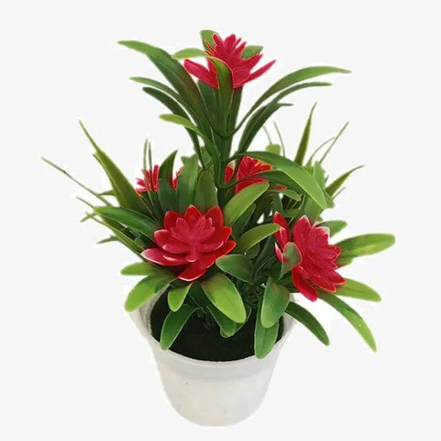 Plant Bonsai for Christmas New Year
