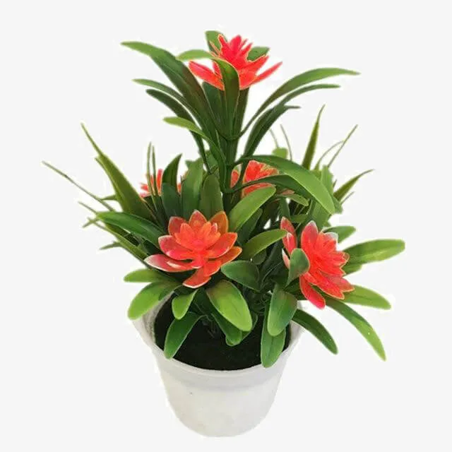 Plant Bonsai for Christmas New Year